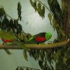 img_0031