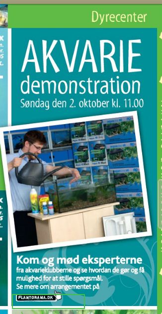 demo
