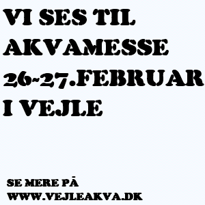 logo_messe_hvid